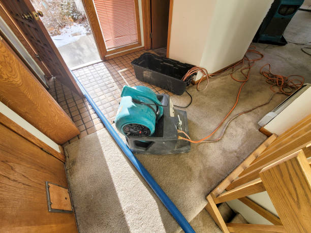 Best Basement water damage restoration  in Saint Davids, PA