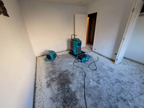 Best Water damage restoration mold remediation  in Saint Davids, PA