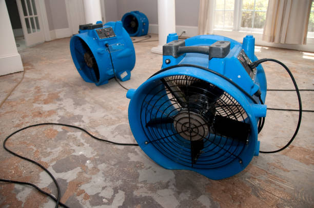 Best Mold removal after water damage  in Saint Davids, PA