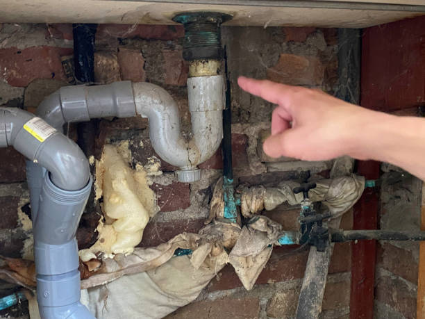 Best Water damage restoration near me  in Saint Davids, PA